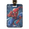 cool-luggage-tags